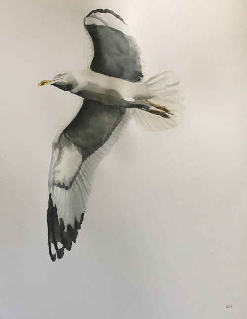 Ordered:sold 27x35cm Seagull 