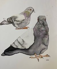 Sold two doves