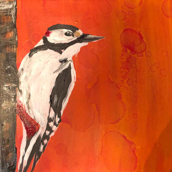 Acrylic 30x30cm woodpecker