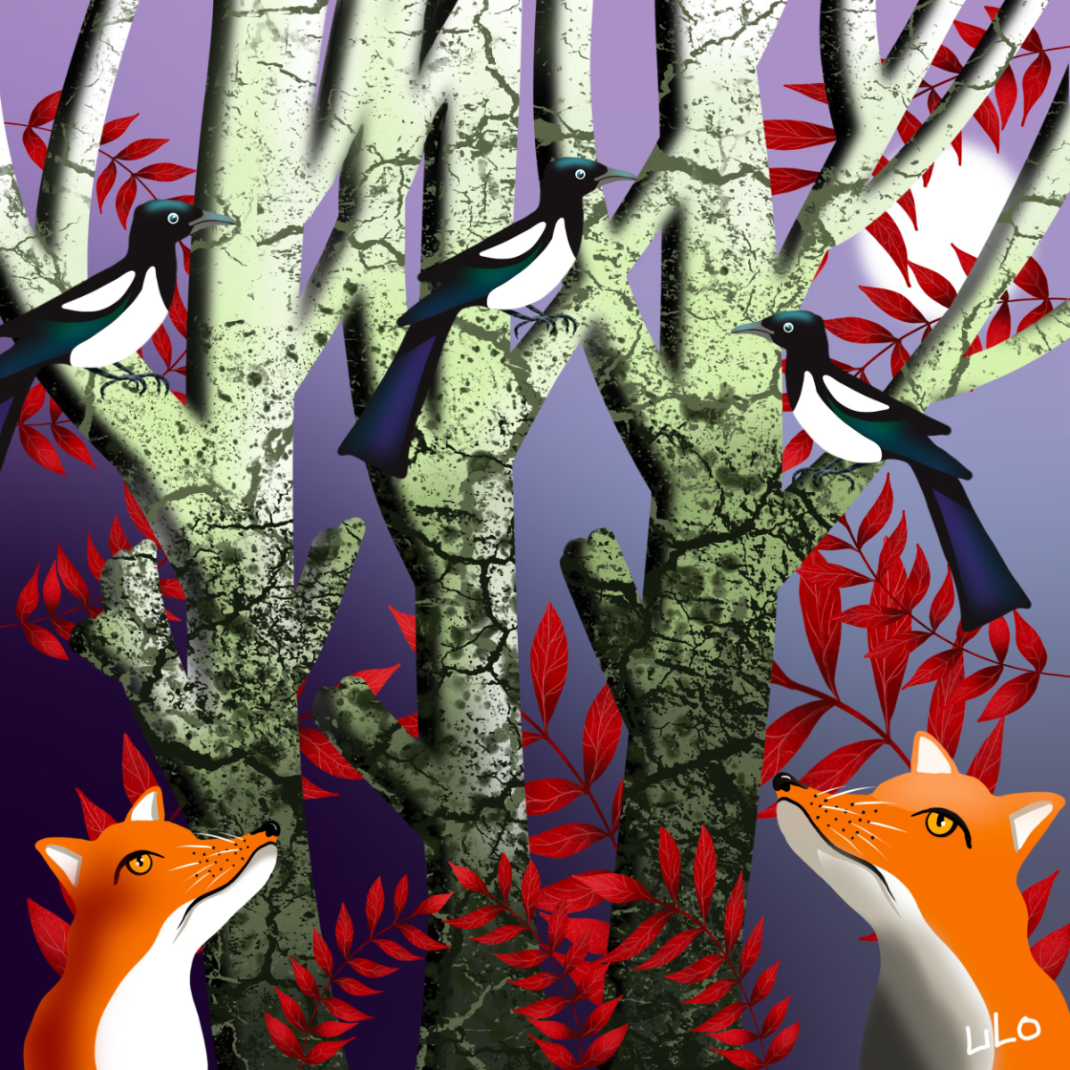 foxes and magpies