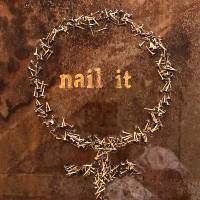 Sold metalsheet nails 25x25cm Nail it