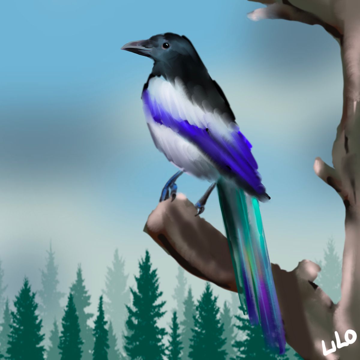 magpie on branch digital art